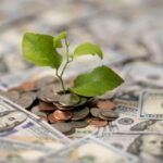 Investing in the U.S.: What Hong Kong Families Should Know